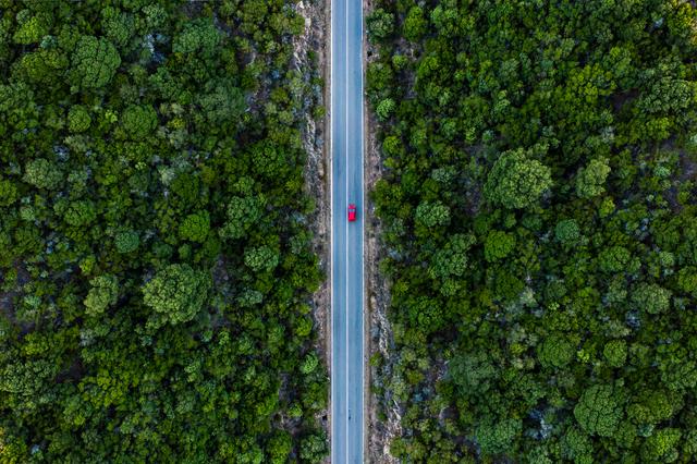 Aerial view of a car driving on a straight road with forest on either side