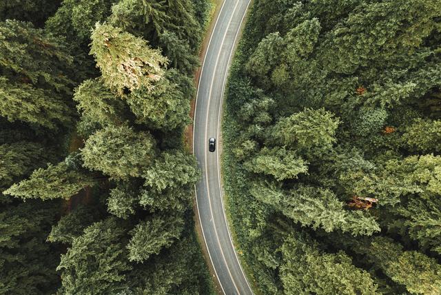 Aerial view of a car driving on a road through dense forest
