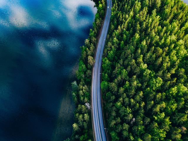 Aerial view of road between green summer forest and blue lake