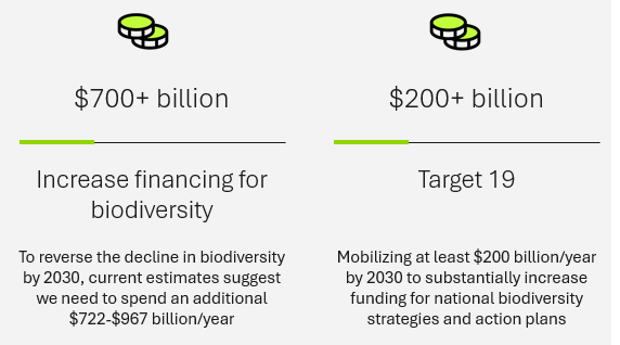 Graphic showing $700+ billion needed to increase financing for biodiversity and $200+ billion needed to meet Target 19 of the Global Biodiversity Framework