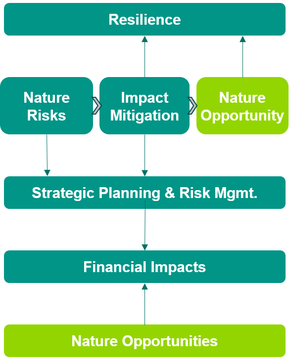 Flow chart