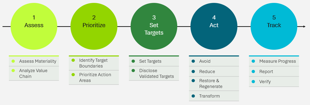 Step 1: Assess (assess materiality; analyze value chain); Step 2: Prioritize (identify target boundaries; prioritize action areas); Step 3: Set Targets (set targets; disclose validated targets); Step 4: Act (avoid; reduce; restore & regenerate; transform); Step 5: Track (measure progress; report; verify)