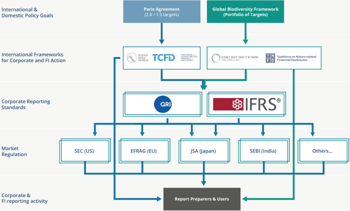 Diagram showing interrelationships between the TNFD and other climate- and nature-related targets and reporting requirements